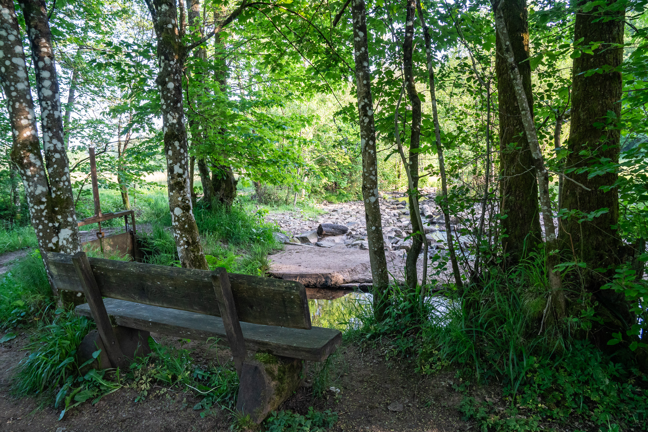 Wehr zwischen Salm und Mühlengraben